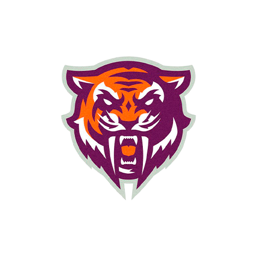 Ceará Sabres logo